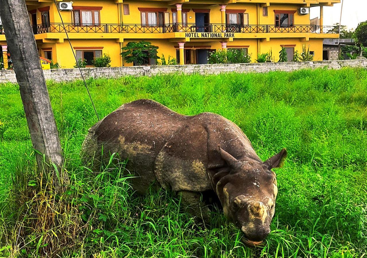 Hotel National Park Sauraha Bagian luar foto