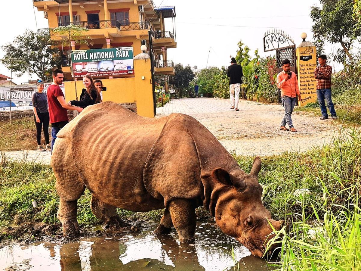 Hotel National Park Sauraha Bagian luar foto
