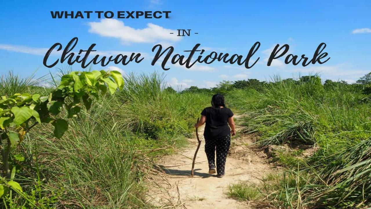 Hotel National Park Sauraha Bagian luar foto
