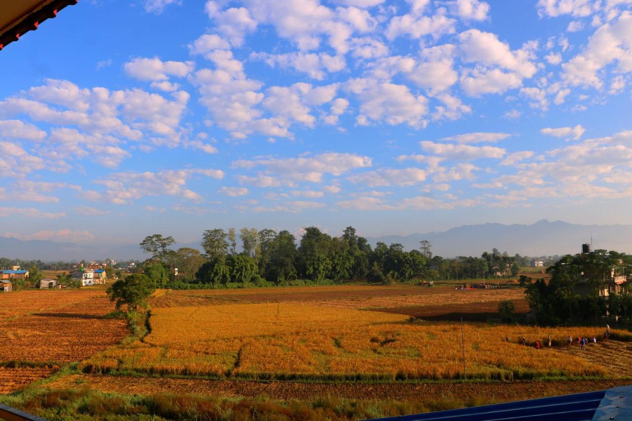 Hotel National Park Sauraha Bagian luar foto