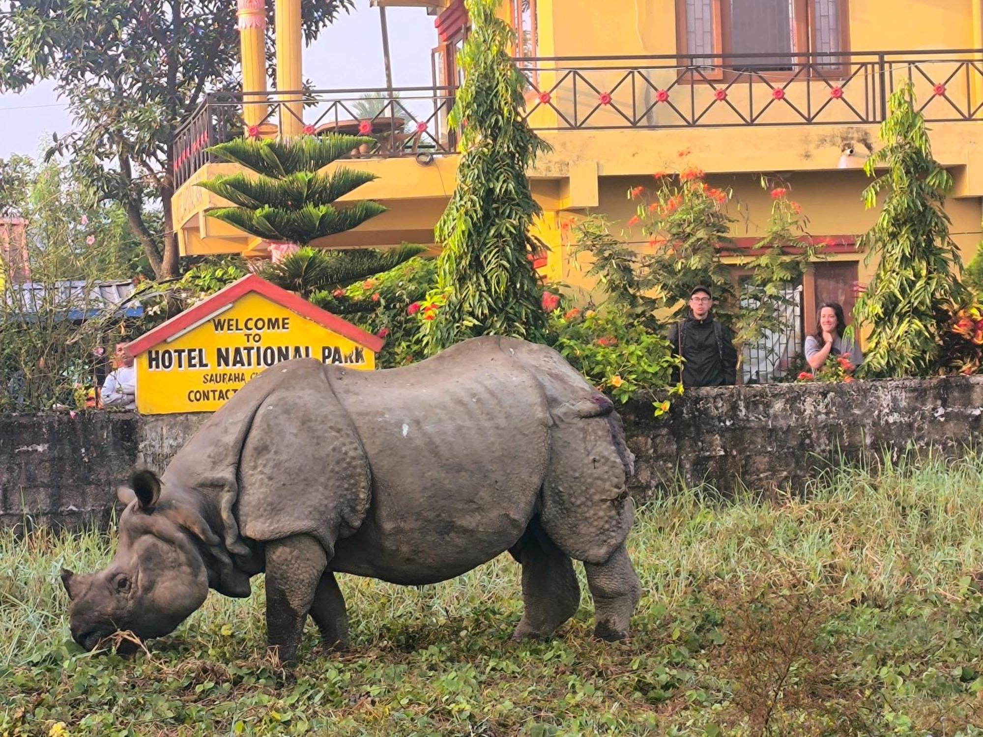 Hotel National Park Sauraha Bagian luar foto